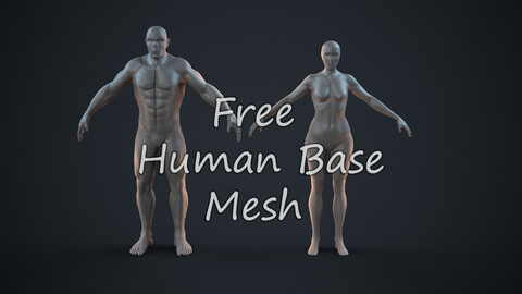 Free Human Base Mesh