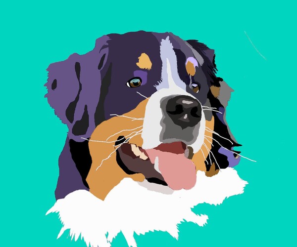 ArtStation - Bernese Mountain Dog | Artworks