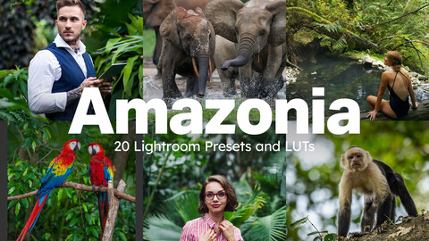 20 Amazonia LUTs & Lightroom Presets