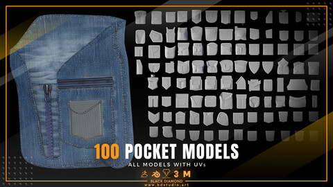 100 POCKET MODELS