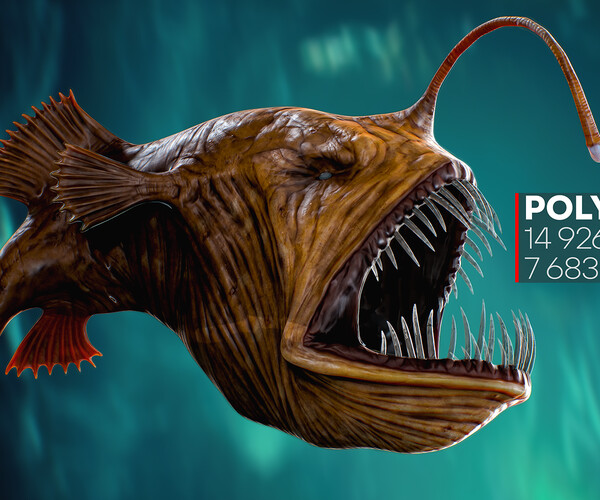 The Anglerfish 02 Curse. low poly fish. Ocean predator. Angler fish 3d  model #8