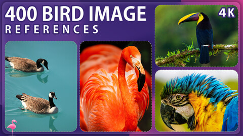 400 Bird Image Reference Pack – Vol 1