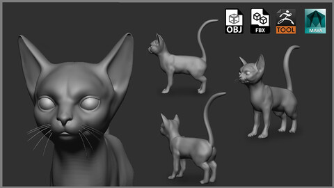 Cat  - Topology + UV map