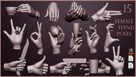 15 Female hand poses 3D models ZTL+OBJ+STL