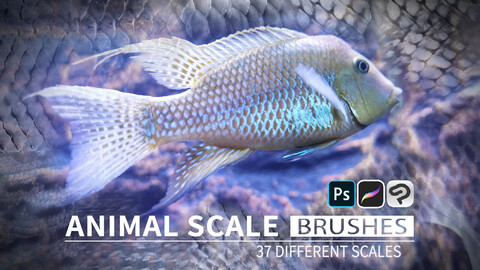 37 Animal Scale Brushes for ClipStudioPaint/Photoshop/Procreate