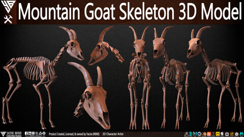 Mountain Goat Skeleton 3D Model