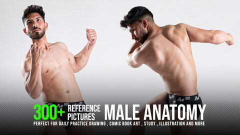 300+ Male Anatomy Reference Pictures