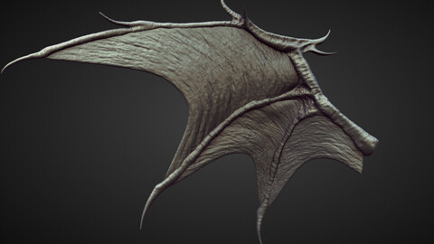 WING27 high poly sculpt