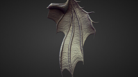 WING32 high poly sculpt