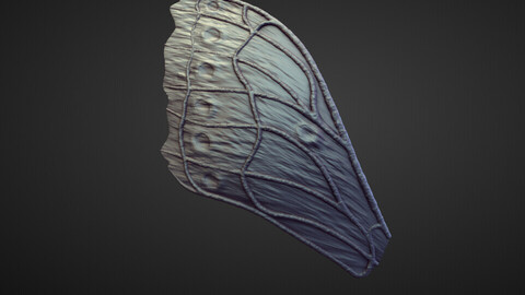 WING37 high poly sculpt