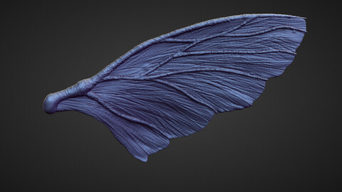 WING38 high poly sculpt