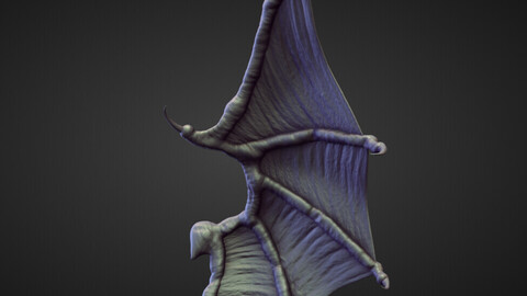 WING41 high poly sculpt