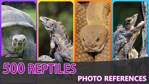 500 Reptiles References pack - Vol 1