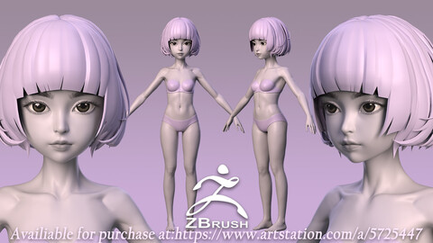 6 years Loli basemesh young girl child Anatomy zbrush project 3D model Zbursh Highpoly Anatomy pack human cartoon male female torso head body foot hand highpoly basemesh young anatomy