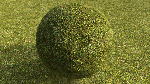 Grass (316) - Photogrammetry based Environment Texture