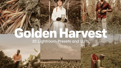 20 Golden Harvest LUTs & Lightroom Presets