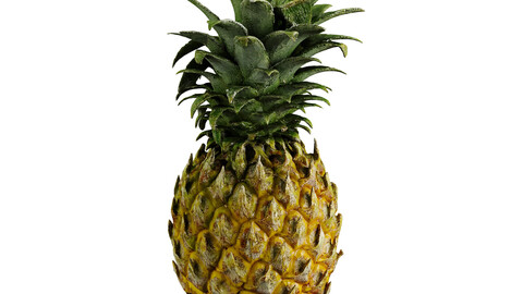 Pineapple ( Photogrammetry )