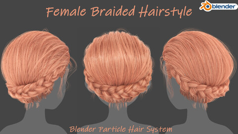 Female Braided Hairstyle