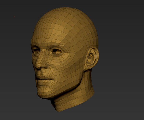 ArtStation - head retopo | Resources