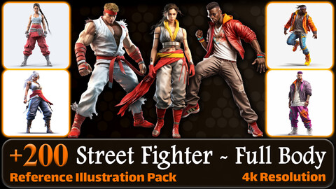 200 Street Fighter Character (Full Body) Reference Pack | 4K | v.2