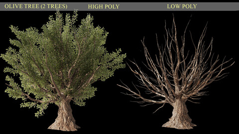 Olive Tree Set4 ( 2 Trees) ( High poly + Low poly) (3DSMAX+FBX+OBJ+STL+ TEXTURES+CORONA+VRAY)(13 FILES)