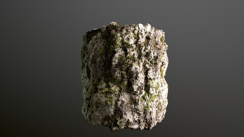 Mossy Rocky Surface  Substance Designer material