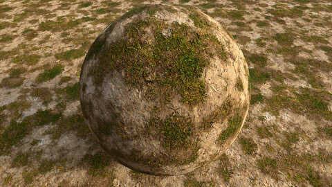 Grass (318) Dense Patches - Photogrammetry based Environment Texture