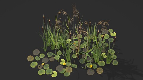 Modular Wetland Plants Set 01