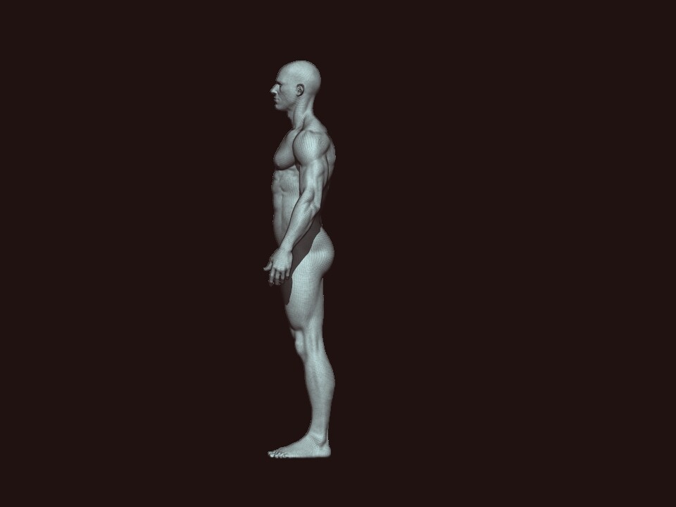 ArtStation - ANATOMY SCULTING