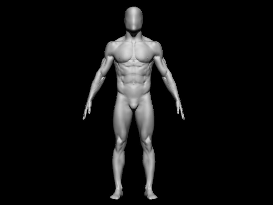 Muscular Man - Base Mesh 3D model