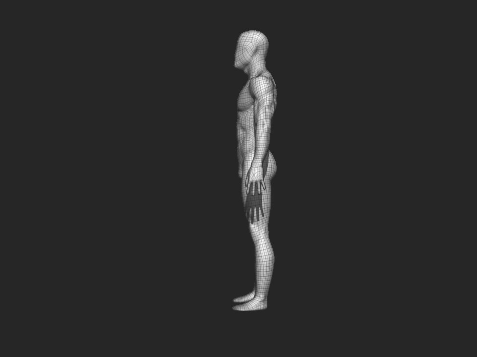 ArtStation - HUMAN ANATOMY | Game Assets