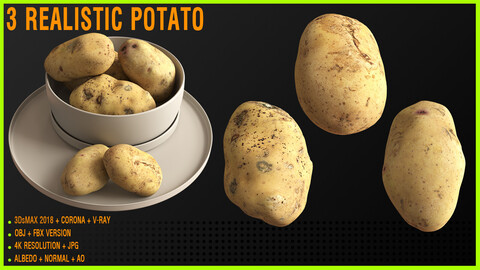 3 Realistic Potato