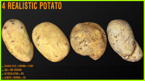 4 Realistic Potato
