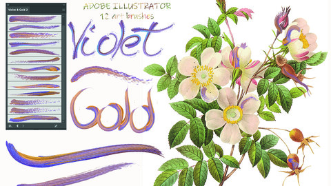 Violet & Gold Illustrator Brushes