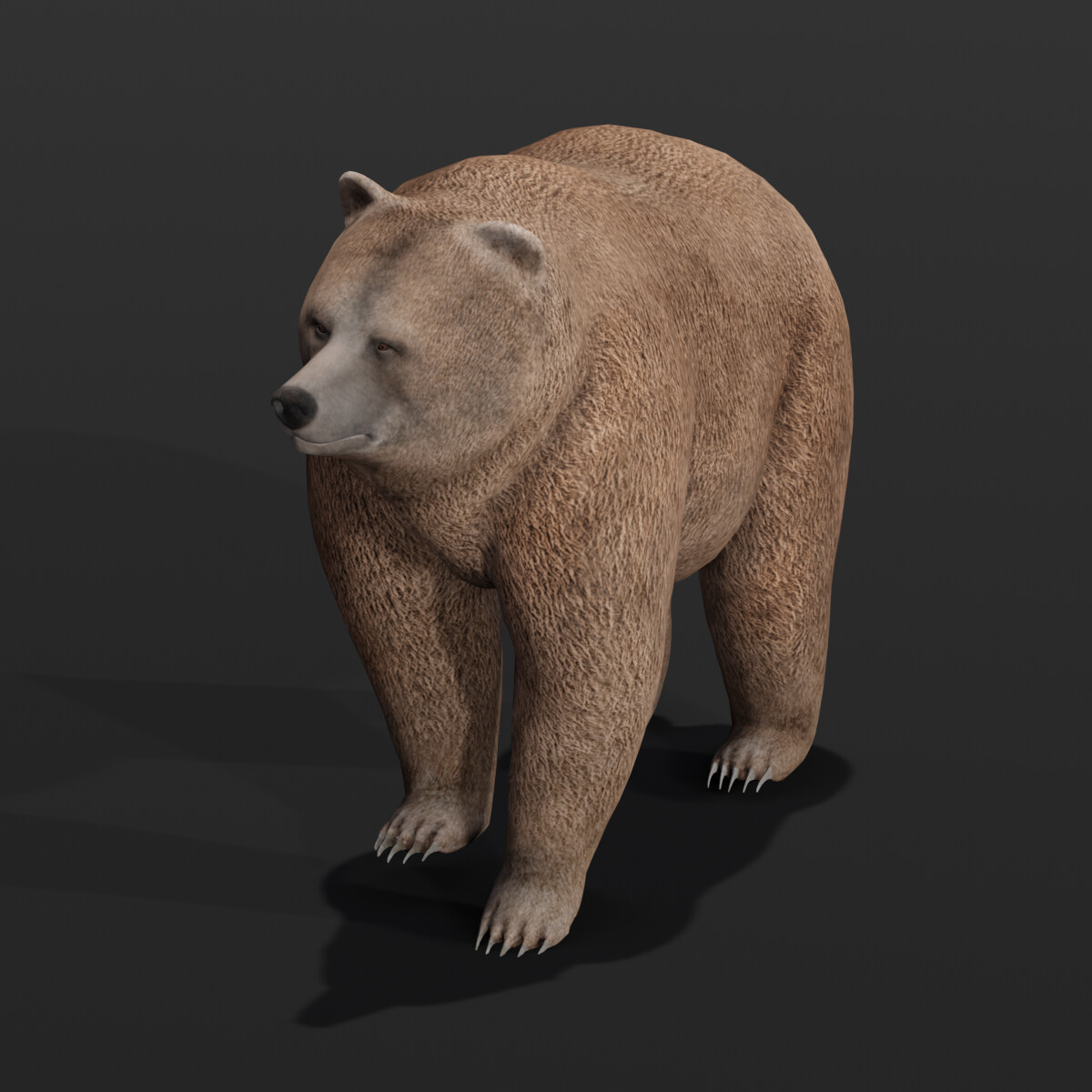 PBR Grizzly Bear - Modelling