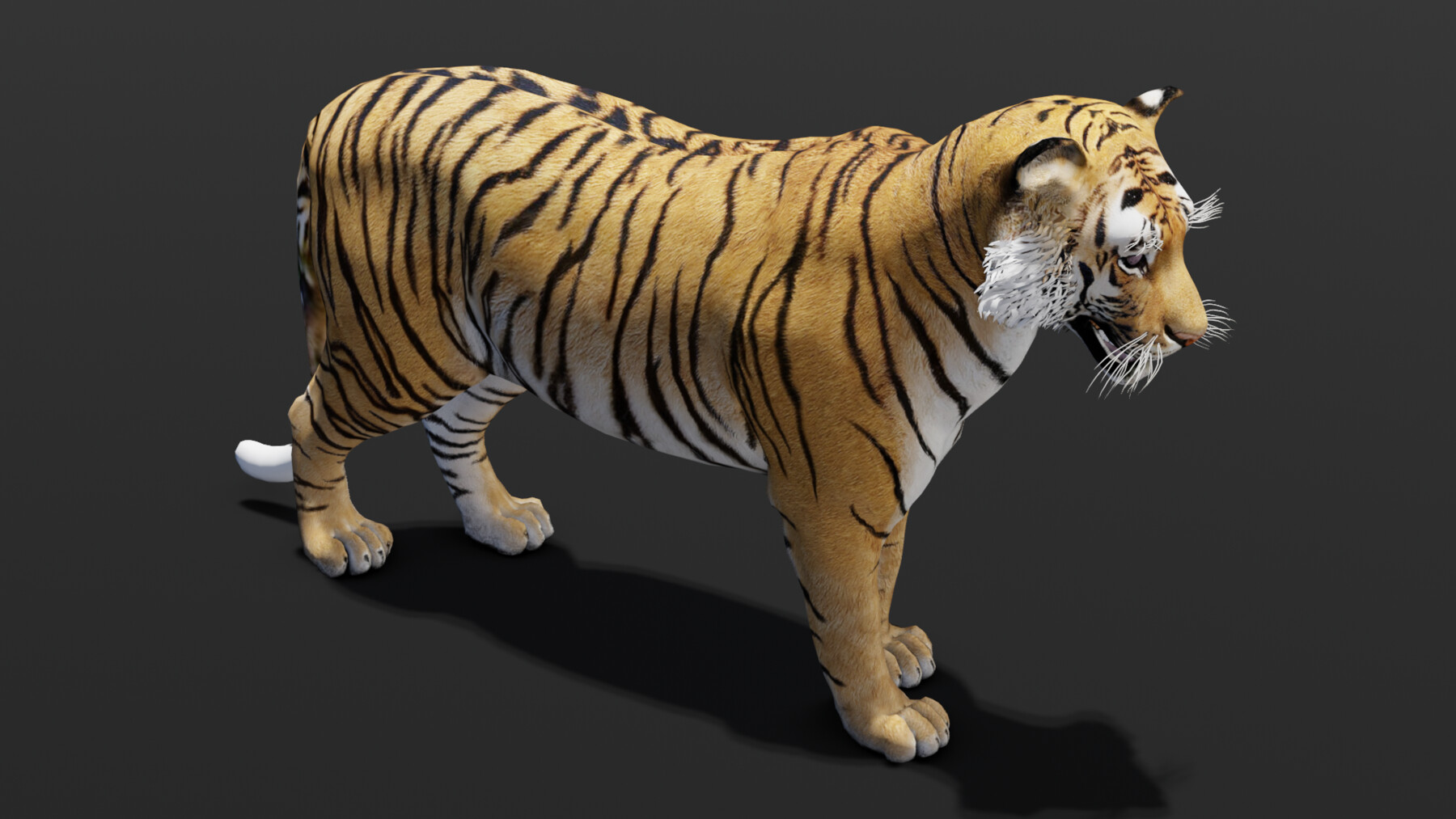 ArtStation - Animated Tiger 3D Model | Game Assets