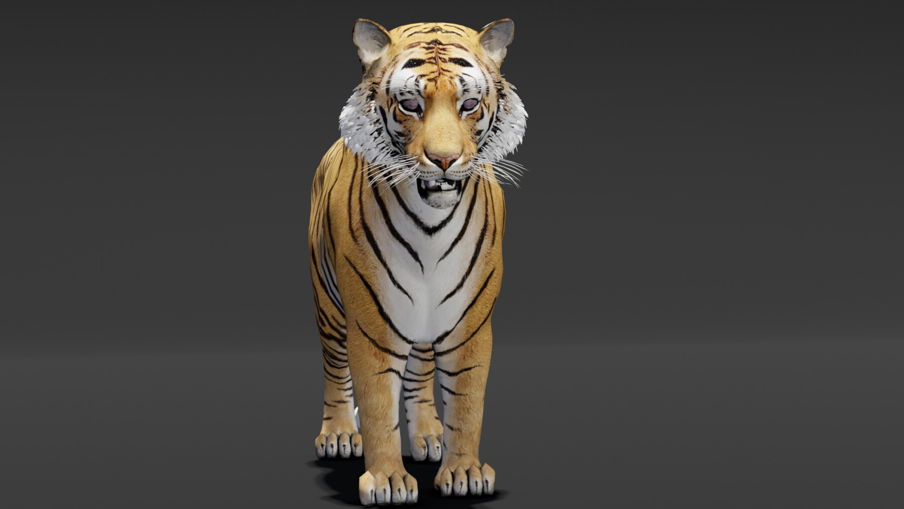 ArtStation - Tiger Animated 3d Model