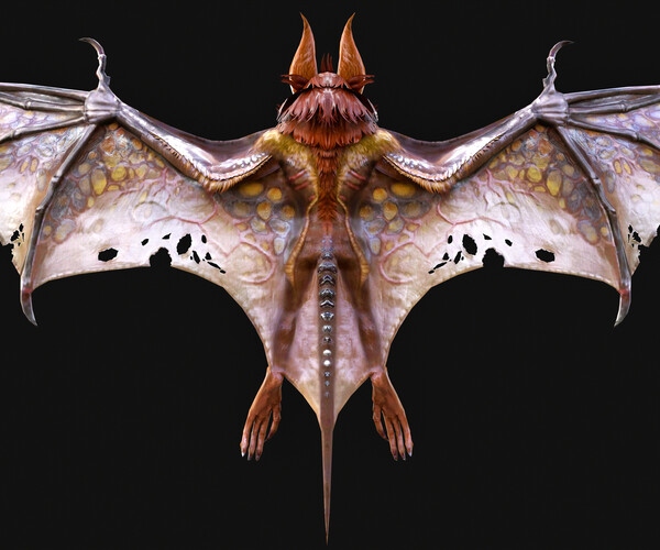 ArtStation - Low Poly Bat 3D Animal - Ready for Games (10 Animations ...