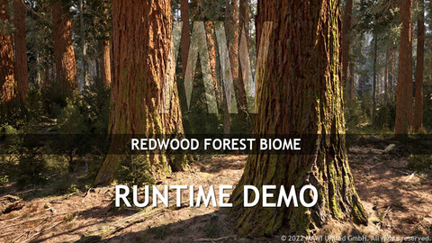 MW Redwood Forest Biome - Runtime Demo