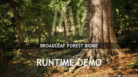 MW Broadleaf Forest Biome - Runtime Demo