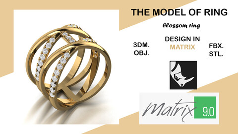 BLOSSOM model of ring VOL;11