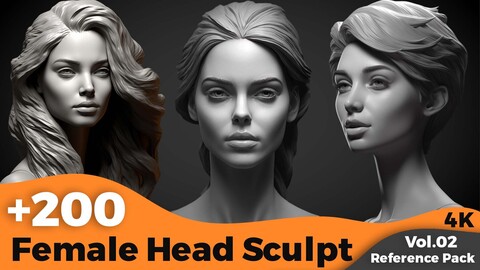 +200 Female Head Sculpt (4k)