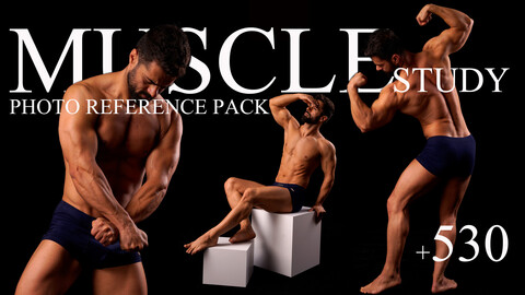 530+ Muscle Study Poses Reference Package