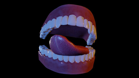 Teeth and Tongue 3D Model Rigged