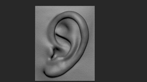 Ear Reference