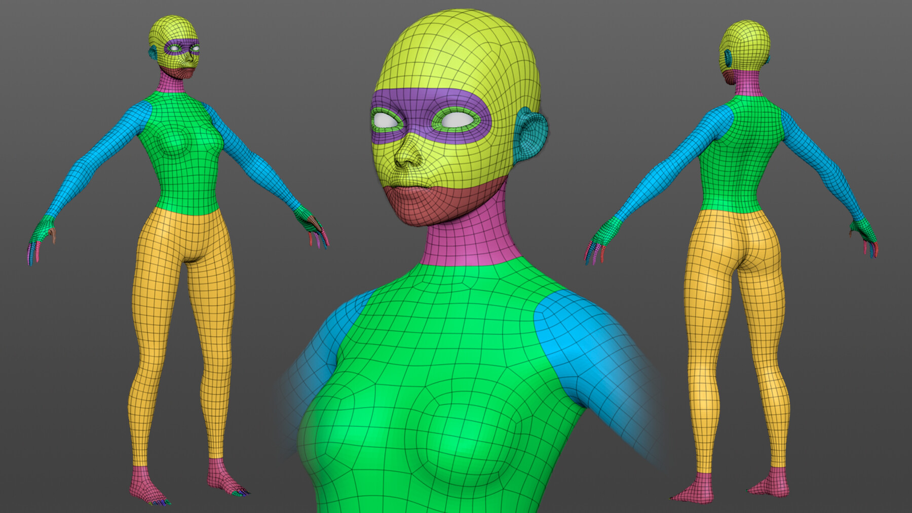 UV Map References for R15 & R6 Humanoid Body Parts to Support Clothing -  Community Resources - Developer Forum