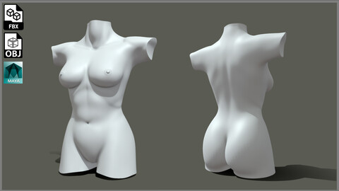 Female Torso - Topology + UV map