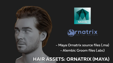 Male hair Asset for study - Ornatrix groom in Maya/ Alembic groom