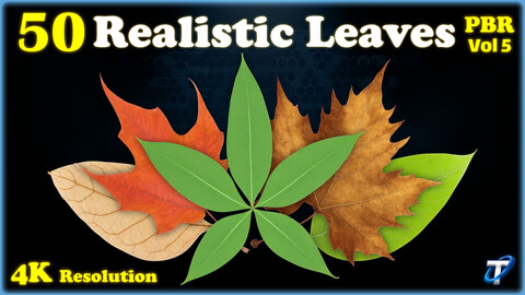 50 Realistic Leaves - PBR Textures (MEGA Bundle) - Vol 5