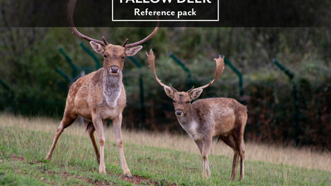 Reference pack: Fallow deer